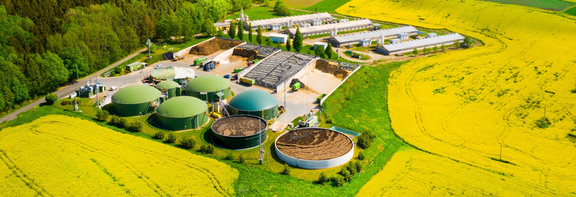 Biogas