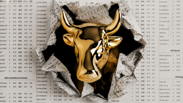 Bull